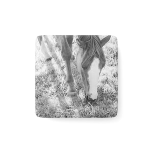 Porcelain Magnet, Black and White Horse Design, Square, Fridge Magnet, Kitchen Decor, Animal Lover Gift, Cute Horse Magnet