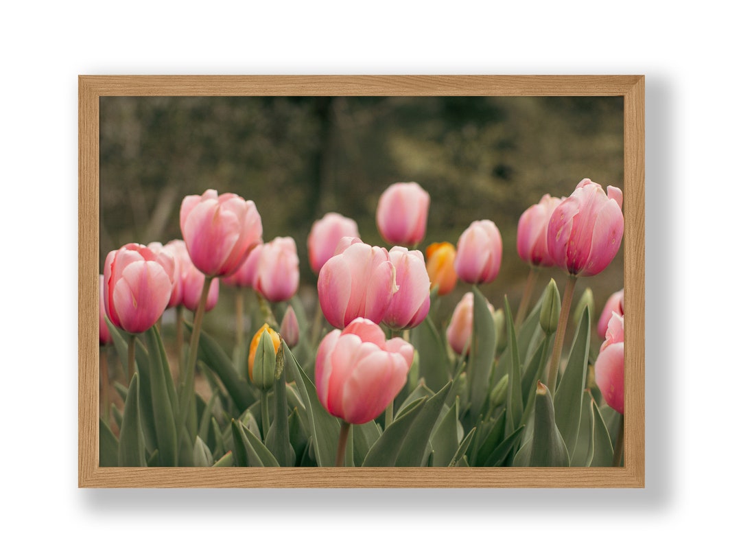 Pink Tulip Art | Downloadable Art Work | Home Decor | Kitchen Wall ...