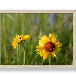 Sunflower Wall Art | Downloadable Art Work | Home Decor | Sunflower Decor | Wildflower Wall Art | Kitchen Wall Decor