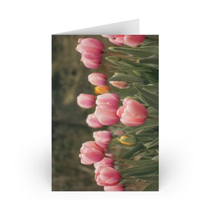 Tulpwenskaart, bloemenkaart, blanco bloemenkaartenset, Thinking of You-kaart, handgemaakt briefpapier
