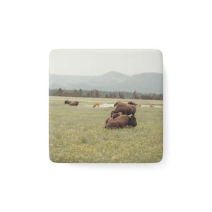Square Porcelain Magnet - Yellowstone Buffalo Puzzle, Fridge Decor, Wildlife Animal Lover Gift, Kitchen Decor, Nature Lover Gift