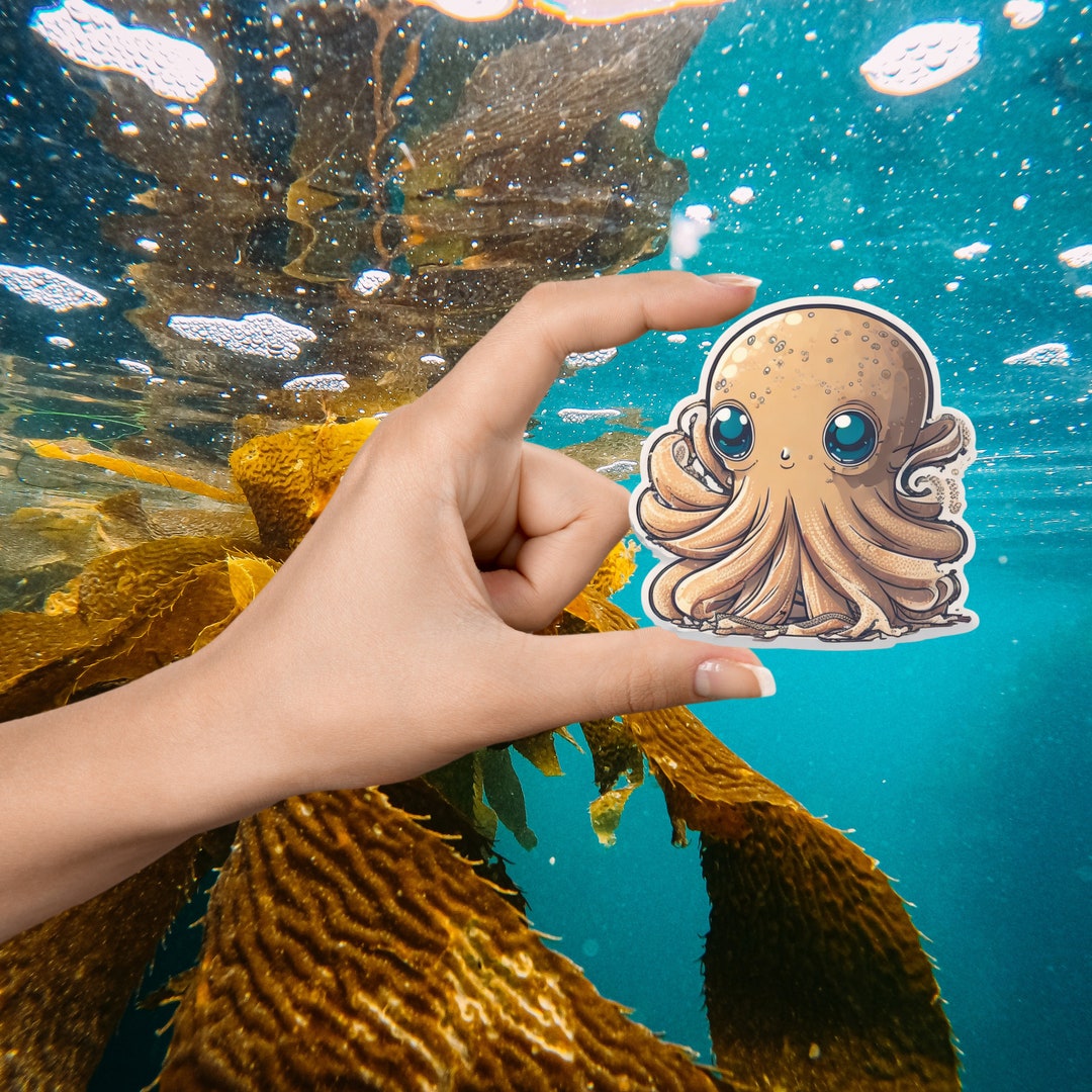 Squid Sticker, Squid Stickers, Squid Wall Decal, Zoologist Squid, Squid ...