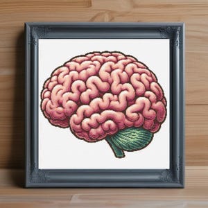 Brain Cross Stitch Pattern PDF, Human Anatomy Embroidery PDF Chart, Science Cross Stitch Design, Geeky Neuroscience Needlepoint PDF Pattern