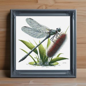 Dragonfly Cross Stitch Pattern PDF, Insect Cross Stitch Design, Nature Embroidery Pattern, Modern Cross Stitch, PDF Pattern Instant Download