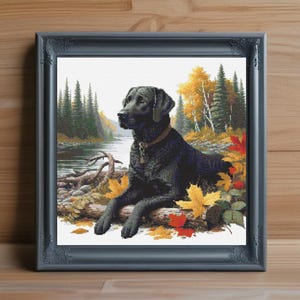 Black Lab kruissteekpatroon PDF, labrador retriever borduurwerk ontwerpen, hondenliefhebber cadeau, huisdier Memorial, instant download, borduurpatroon