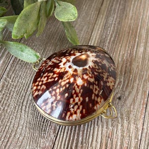 May include: A decorative shell-shaped trinket box with a hinged lid. The box features a natural brown and white speckled shell set in a gold-colored metal frame. The box is resting on a wooden surface.