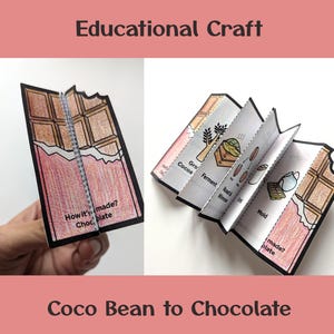 Attività "Dal chicco di cacao al cioccolato" / Colora e impara (Scaricabile in formato digitale)