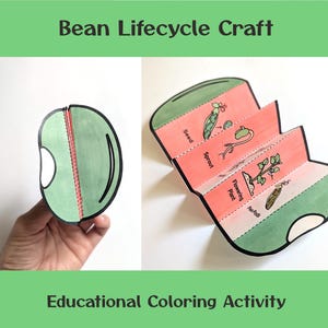 Pea Life Cycle Foldable | Printable Plant Science Activity (Digital Download)