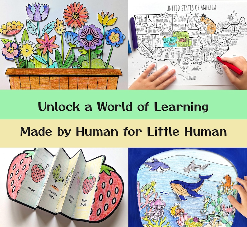 May include: A collection of educational activity sheets featuring a colored flower pot, a map of the United States of America, a strawberry life cycle accordion book with text labels, and a marine life scene with various sea creatures in a blue frame.