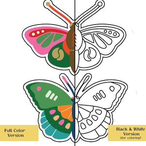 May include: A split illustration of two butterflies. One side is fully colored with pink, green, orange, and blue. The other side is a black and white outline for coloring. Text at the bottom reads "Full Color Version" and "Black & White Version (for coloring)".