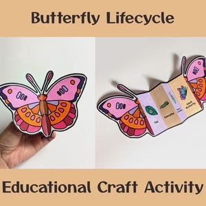 Egg to Butterfly Lifecycle Craft | Foldable Insect Science Printable | Spring & Nature Study | Kid Science STEM Activity| Color Cut Fold