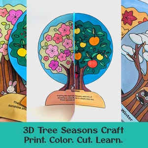 3D printable four seasons tree model craft for science units