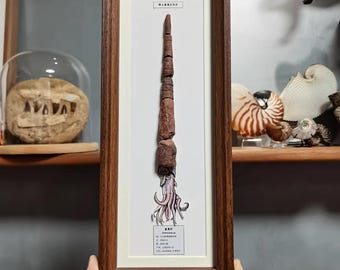 Cornice espositiva extra-lunga per fossili di Orthoceras, cefalopode dritto con ricostruzione in carta, decorazione da parete, regalo scientifico
