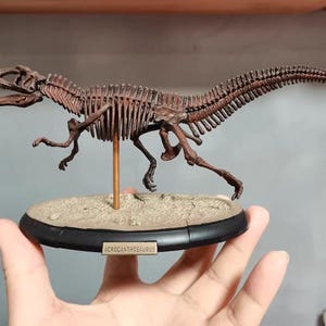 Modelo de esqueleto de Acrocanthosaurus pintado a mano, réplica de fósil de dinosaurio de PVC, artículo de colección de paleontología con base.