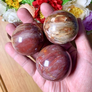 4.5 cm Petrified Wood Sphere, Grounding Crystal, Root Chakra, Calming Crystal, Transformation Crystal, Meditation Ball, Free Stand