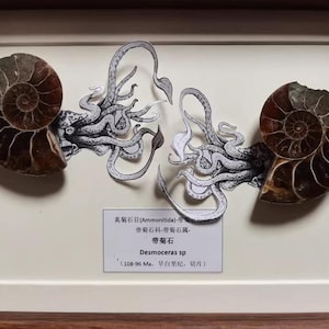 Könnte beinhalten: Eine weiße Keramik-Tasse mit schwarzem Henkel und dem Text "But First, Coffee" in fetter, schwarzer Schrift. Die Tasse steht vor einem verschwommenen Hintergrund, der eine gemütliche Umgebung suggeriert.