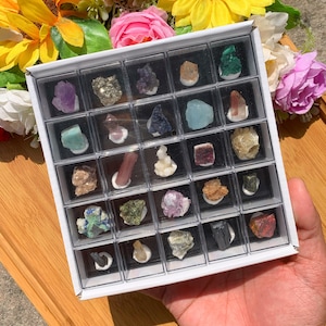 Unique Mini Crystal Specimen Box Set - Mystery Box, Healing Stones Collection, Perfect Gift for Children & Beginners, Father's Day Gift