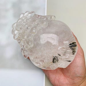 Natural Clear Quartz Dragon Turtle - 13.5 cm Feng Shui Decor, Healing Crystal, Special Birthday Gift Halloween Gift