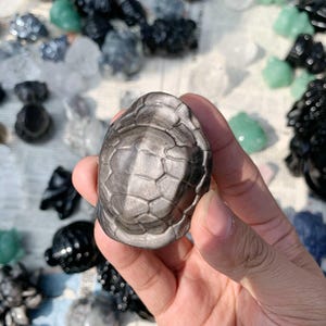 Könnte beinhalten: Eine silberfarbene, geschnitzte Schildkrötenfigur aus Stein wird in einer Hand gehalten. Die Schildkröte hat ein detailliertes Schalenmuster. Weitere geschnitzte Steinfiguren in verschiedenen Farben befinden sich im Hintergrund.