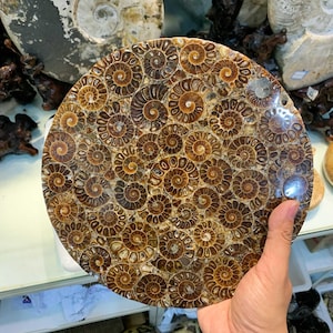 Natural Shell Mosaic Round Platter - 25cm Feng Shui Decor, 2 Styles, Housewarming Gift