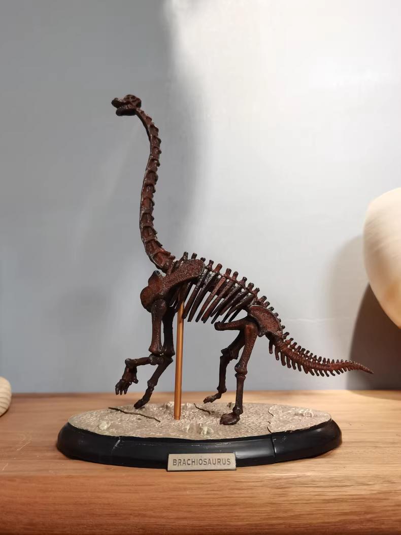 Brachiosaurus fossil - Etsy 日本