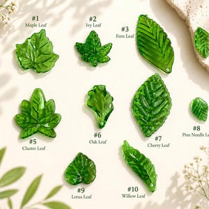 Puede incluir: Una colección de diez formas de hojas de vidrio verde translúcido, cada una con un diseño único y etiquetada con un número y tipo de hoja. Una regla en centímetros es visible a la izquierda. Las hojas incluyen Arce, Hiedra, Helecho, Olmo, Racimo, Roble, Cereza, Aguja de Pino, Loto y Sauce.