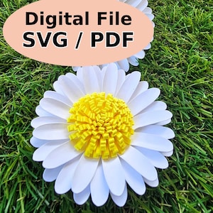 Paper Daisy Templates, Paper Daisy Flower2 svg /pdf, 3D Paper Flowers svg, Chamomile Flower, Template for DIY Crafting hand cutting possible