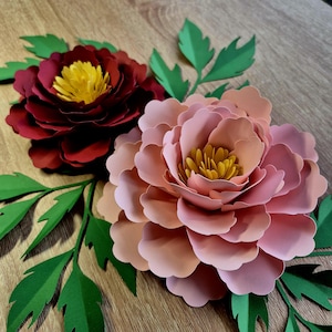 Modelli di peonie di carta con foglie, fiori di carta svg, fiori di carta 3D PDF, peonie di carta fai da te, peonie Svg, fiori svg, fiori di artigianato fai da te