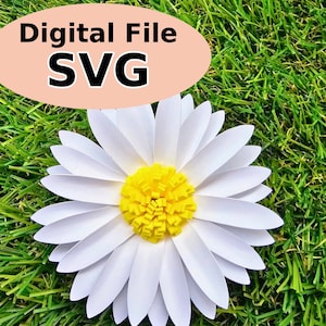 Paper Daisy Templates, Paper Daisy Flower3 svg, 3D Paper Flowers svg, Chamomile Flower, Rose Svg, Flower svg,  Template for DIY Crafting