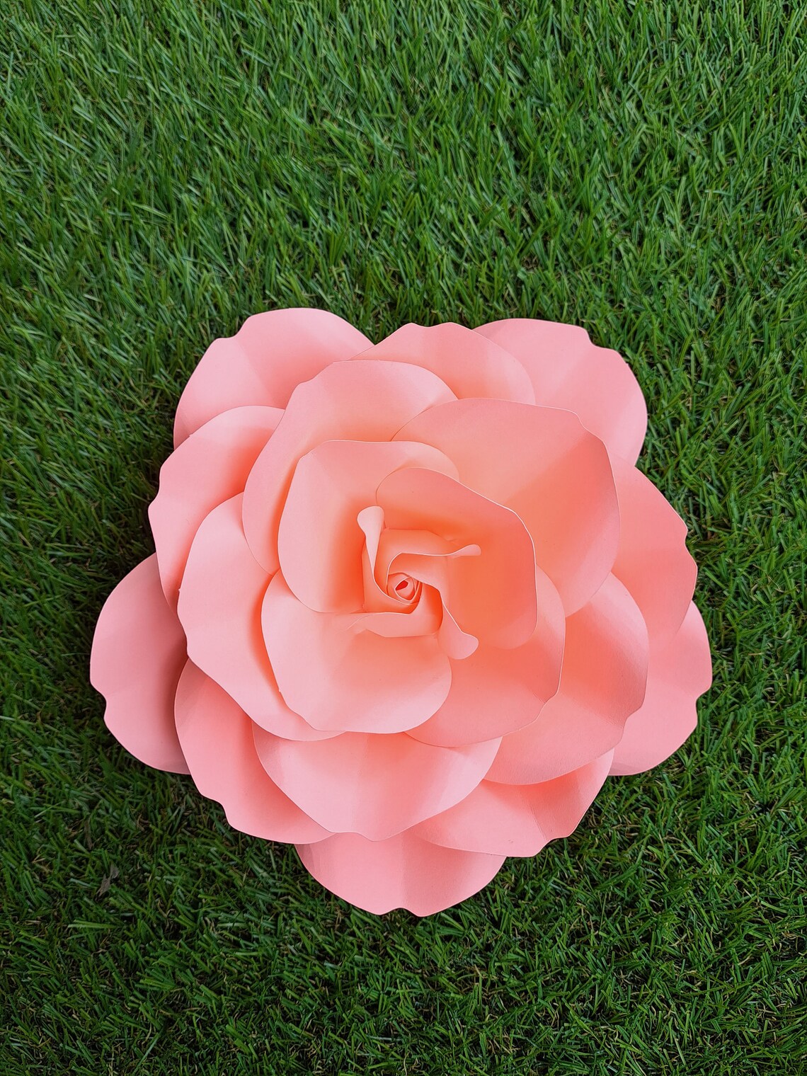 Large Paper Rose Template Rose Svg 3D Paper Flowers Paper Etsy Canada