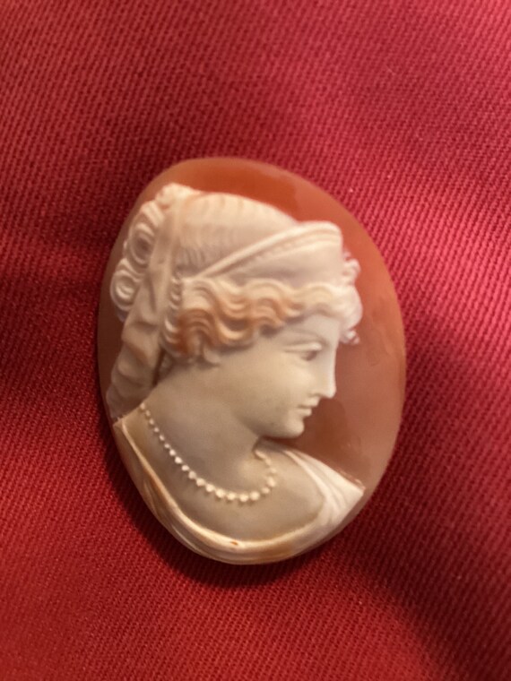 Antique Victorian Carved Shell Cameo: Woman with … - image 2
