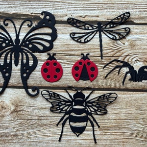 Découpes insectes