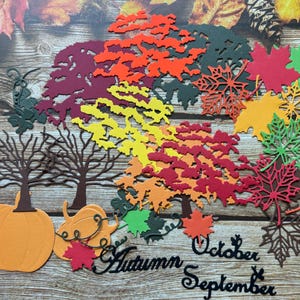 Découpes d'automne