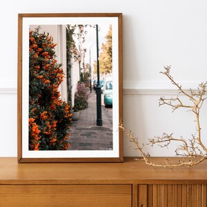 Springtime in Amsterdam Print