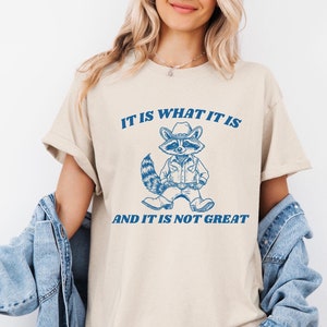 Het is wat het is en het is niet geweldig, shirt grappig wasbeer, T-shirt wasbeer meme, shirt dwaze rare sarcastische humor, shirt voor volwassen mentale heide