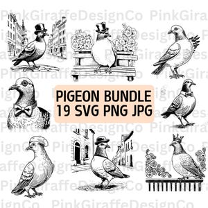 Ensemble SVG Pigeon drôle, Pigeon portant un chapeau, ensemble PNG couronne, Illustration oiseau stupide, clipart animaux, dessin au trait Royal Pigeon