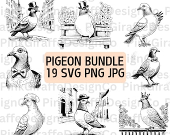 Funny Pigeon SVG Bundle, Pigeon Wearing Hat, Crown PNG File, Silly Bird Drawing