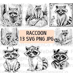 Raton laveur dans la nature SVG Bundle, animal des bois raton laveur PNG Bundle, scène de forêt mignon raton laveur Illustration, bébé raton laveur Clip Art
