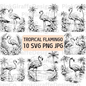 Paquete SVG de flamencos en los trópicos, archivo PNG con boceto detallado de aves tropicales, ilustración de flamencos, clip art de aves, arte lineal de animales