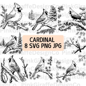 Rode kardinaal winters tafereel SVG-bundel, gedetailleerde kardinaal vogel schets png-bestand, dierlijke illustraties, afbeelding vogelliefhebber