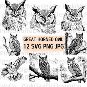 Ensemble SVG croquis détaillé d'un hibou grand duc, ensemble PNG hibou de près, fichier vectoriel hibou volant, illustration d'oiseaux de proie, scène de forêt