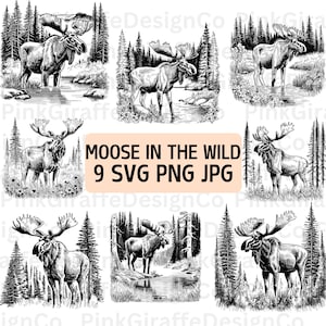Bundle SVG de scène sauvage d'orignal de taureau, fichier PNG de la faune, vecteur de la Nature de la montagne, dessin d'art au trait orignal, clipart