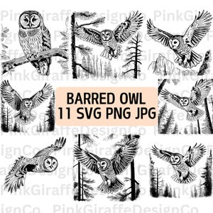 May include: A set of 11 digital illustrations of a barred owl in various poses, including flying, perched, and looking directly at the viewer. The illustrations are in black and white and feature a detailed, realistic style. The text "BARRED OWL 11 SVG PNG JPG" is included in the image.
