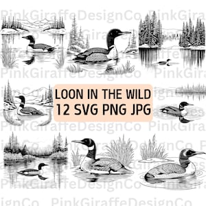 Plongeon dans le lac sauvage scène SVG Bundle, fichier PNG détaillé de croquis d'oiseau Plongeon, dessin au trait animal Style vintage, Image amateur d'oiseaux