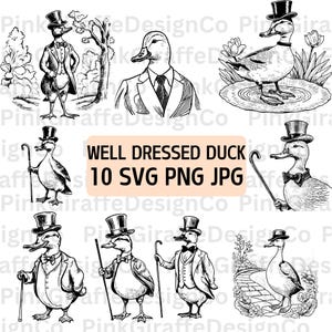 Formal Duck SVG Bundle, arquivo PNG de pato-real engraçado e bobo, imagem de pássaro em um terno, clipart de animal estranho, arte de linha de pássaro engraçado