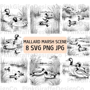 Pacchetto SVG di scena di palude di Mallard, file PNG di schizzo dettagliato di uccello e anatra, clip art di animali, linea di arte di Mallard, illustrazione di uccello