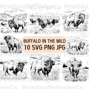 Puede incluir: Un conjunto de 10 ilustraciones en blanco y negro de búfalos en la naturaleza. Las ilustraciones son de estilo vintage y presentan búfalos en diversas poses. El texto "BUFFALO IN THE WILD" y "10 SVG PNG JPG" está incluido en la imagen.