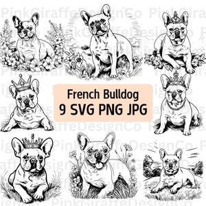 Französische Bulldogge SVG-Bundle, Frenchie mit Krone Illustration PNG-Dateien, Haustier Hund Umriss, Tier Clip Art, Hund Royalty Line Art Sketch