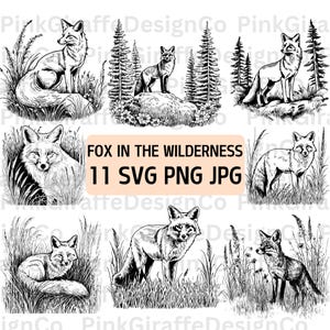Renard sauvage scène SVG Bundle, fichier PNG animal des bois, Illustration de renard, dessin au trait animaux de la faune, renard Clip Art