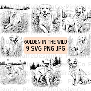 Bundle SVG ludique Golden Retriever Wilderness scène, fichier PNG Golden Retriever, vecteur de race de chien Retriever, dessin au trait amoureux des chiens